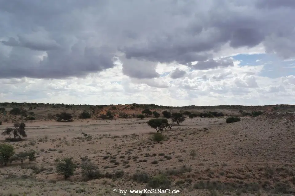 h4875914.JPG