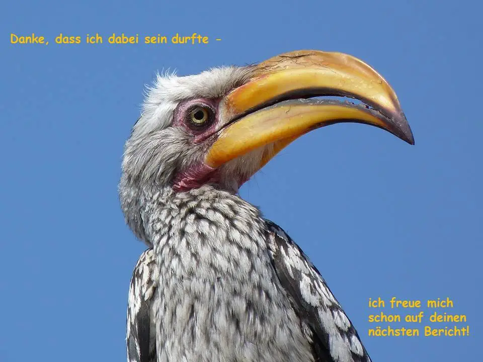 h4d53fdd_2014-12-03.jpg