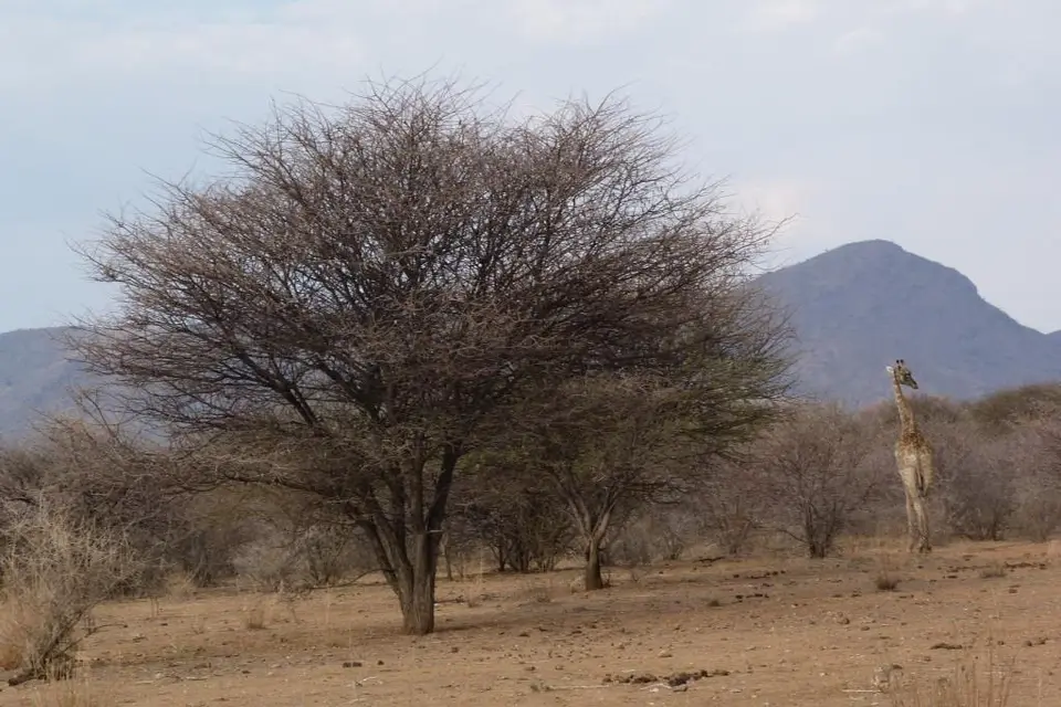 h4e5475b.JPG