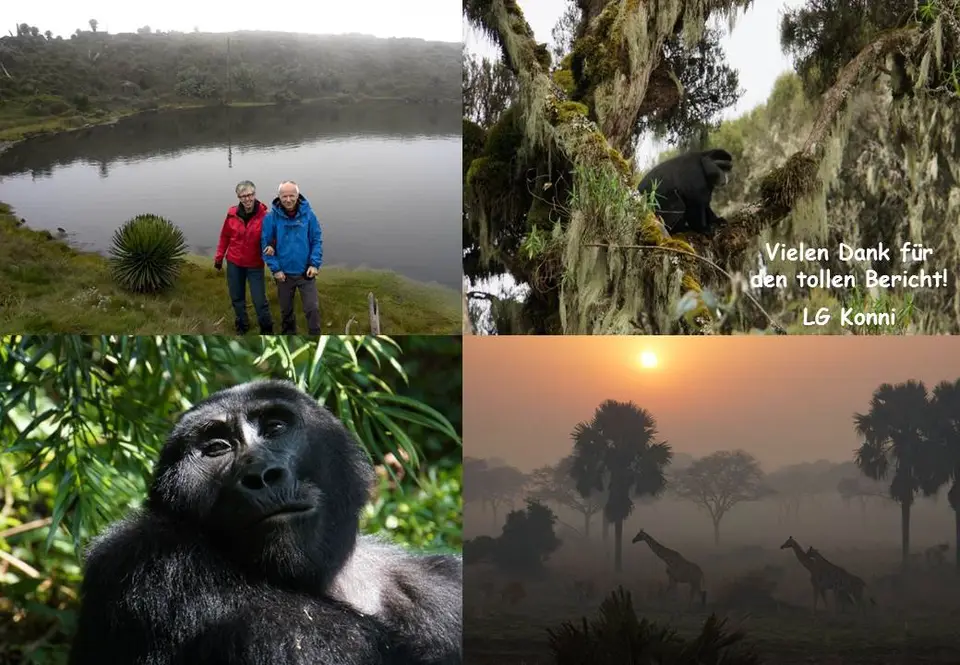 h512b921.jpg