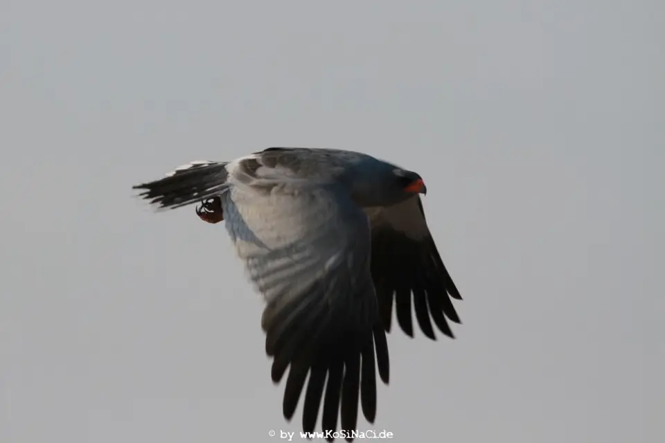 h70920ba.JPG