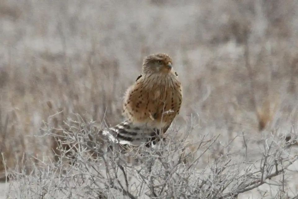 hc348166.JPG