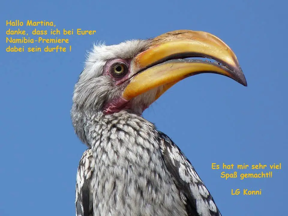 hdca73ea.jpg