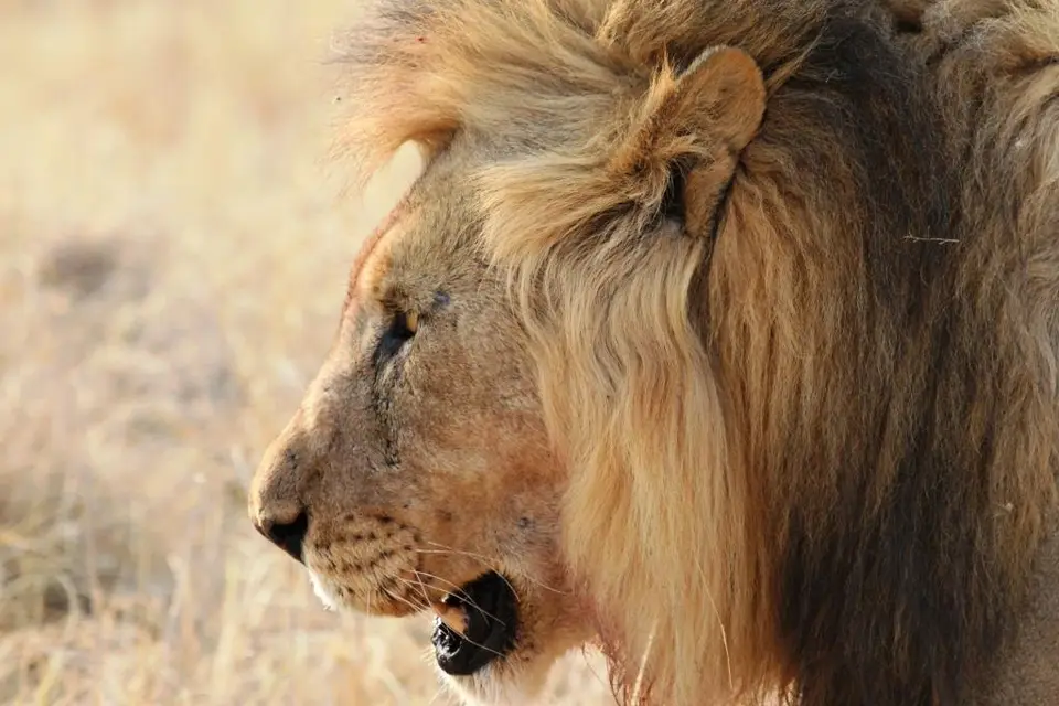 he5c8834.JPG