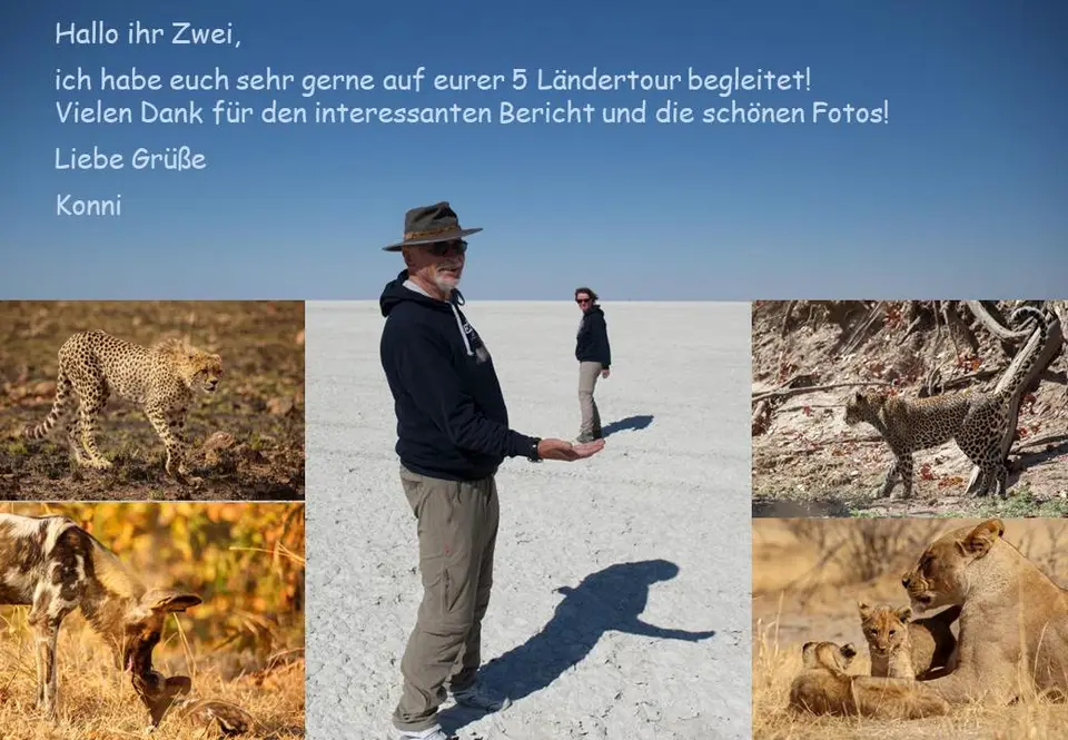 tiggi.jpg