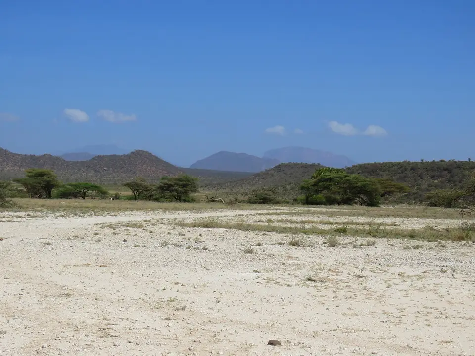 BuffaloSpringsmitOlolokwe.jpg