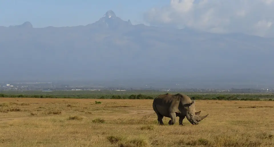 OlPejetaMountKenya.jpg