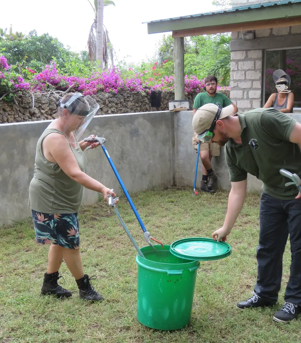RedspittingCobrahandling3.jpg