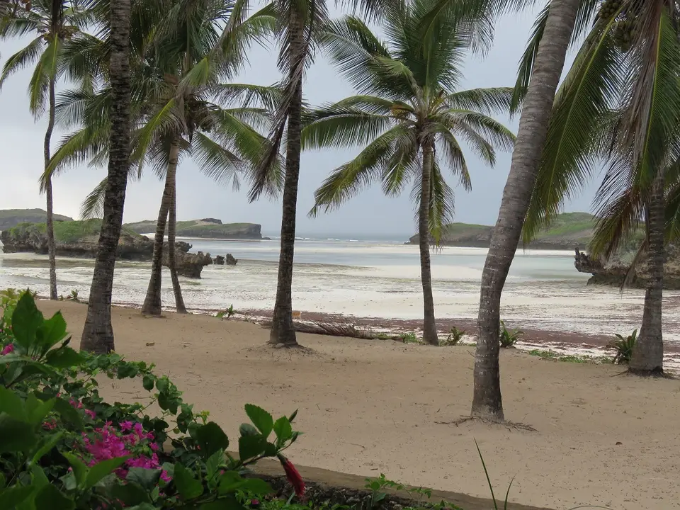 SunPalmHotel3.jpg