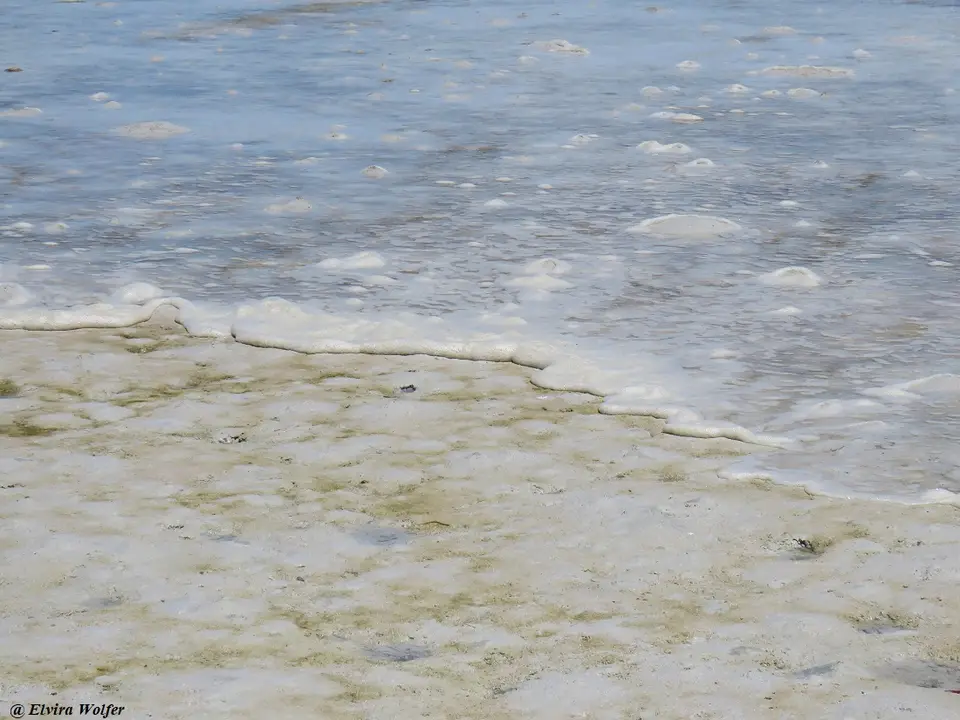 Tide1.jpg