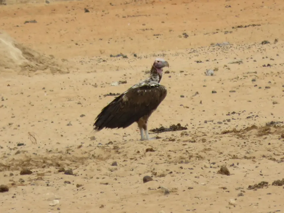 IMG_1615.JPG