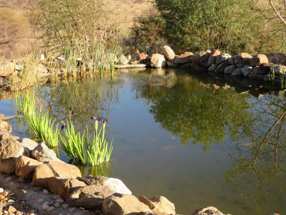 IMG_1876.JPG