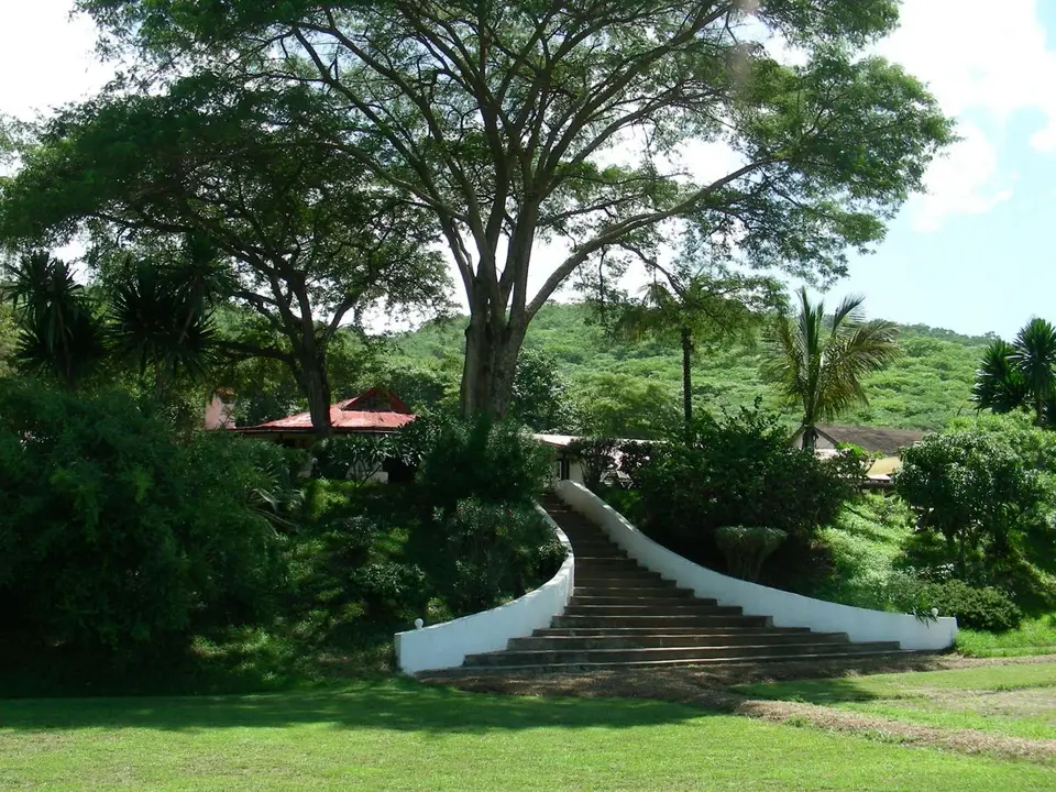 DSCN0534.JPG