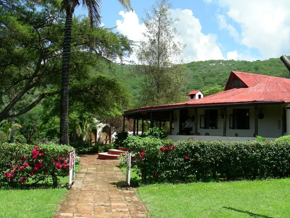 DSCN0539.JPG