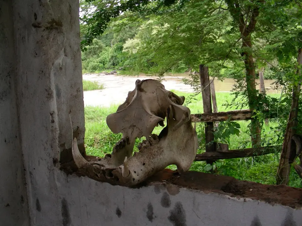 DSCN0726.JPG