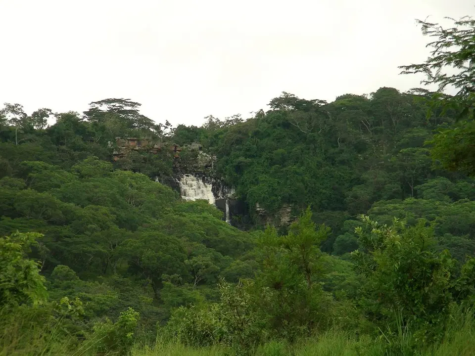 DSCN0731.JPG