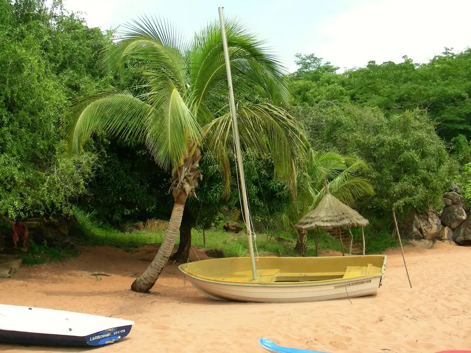 DSCN0773.JPG