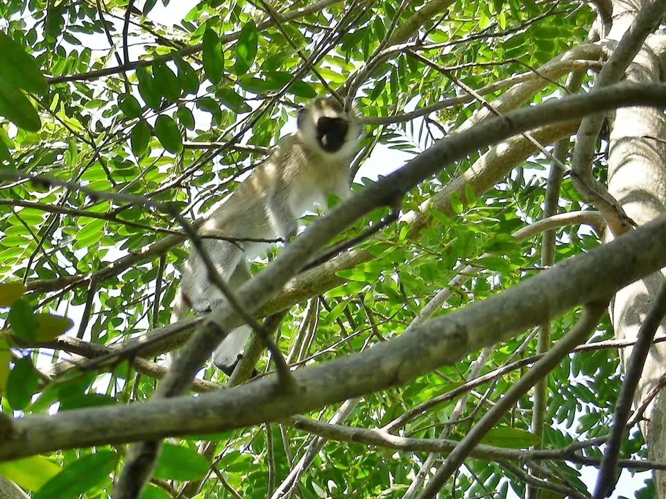 DSCN0784.JPG