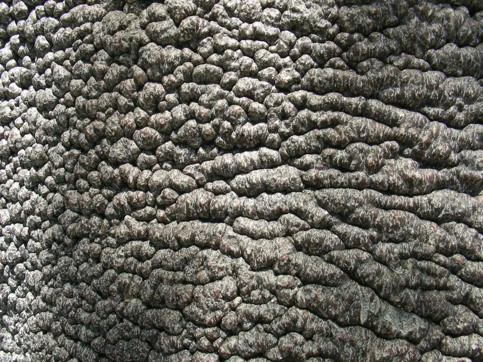 DSCN5623.JPG
