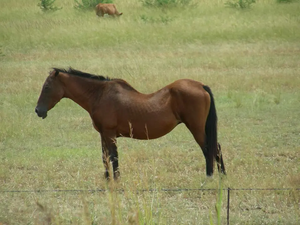 DSCN6446.JPG