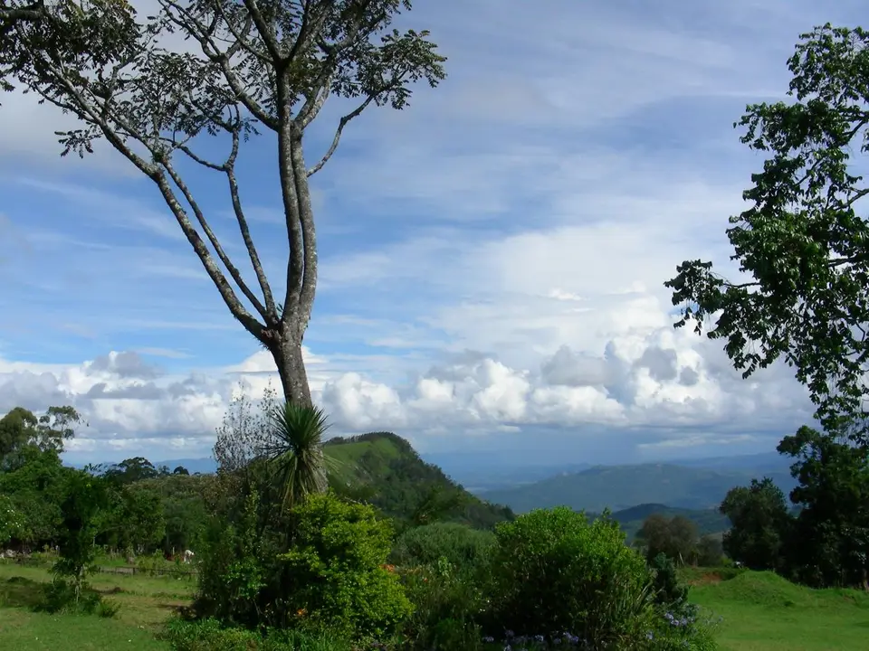 DSCN7762.JPG
