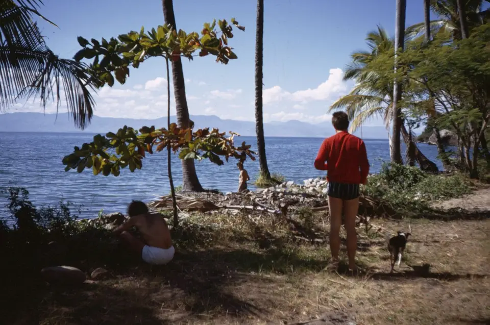 MALMalawisee0.jpg