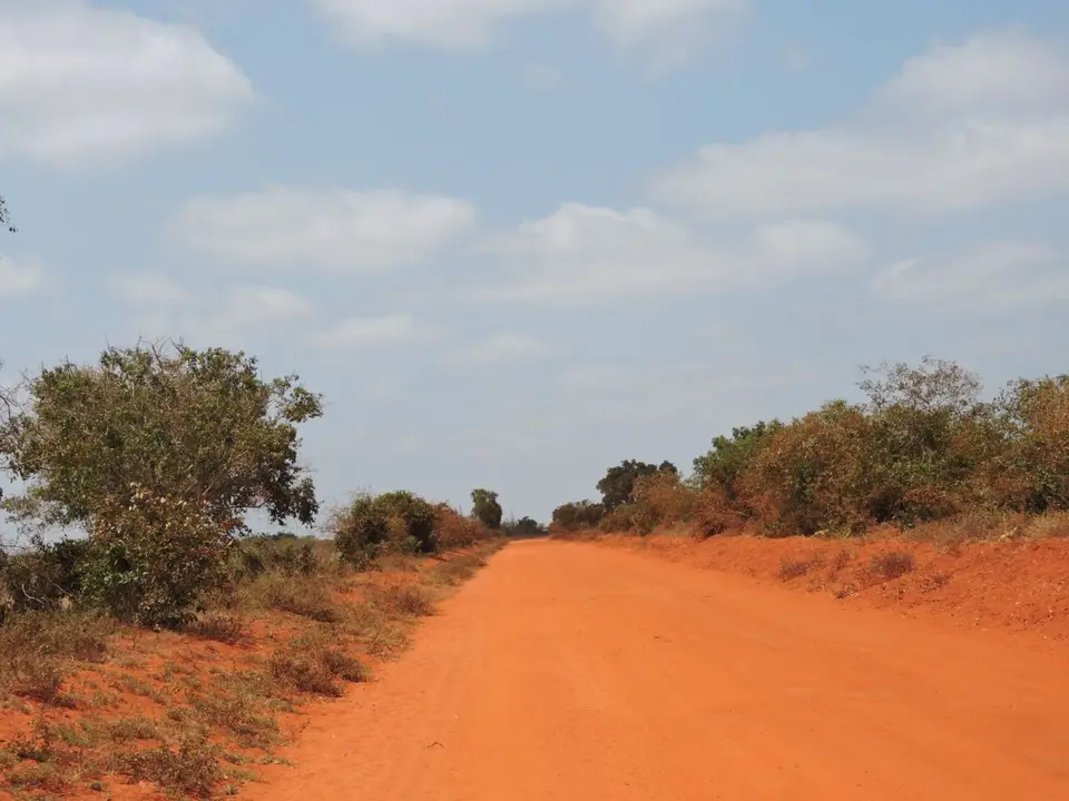 h0577615.JPG