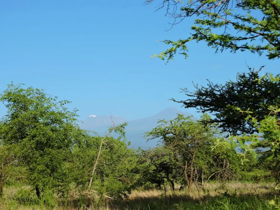 h3378493.JPG