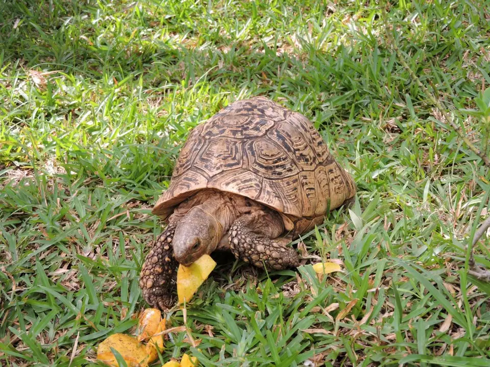 h3b81d98.JPG