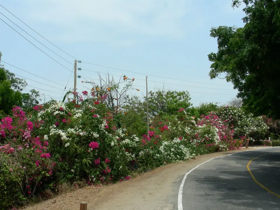 h9dd11ba_2015-04-08.JPG