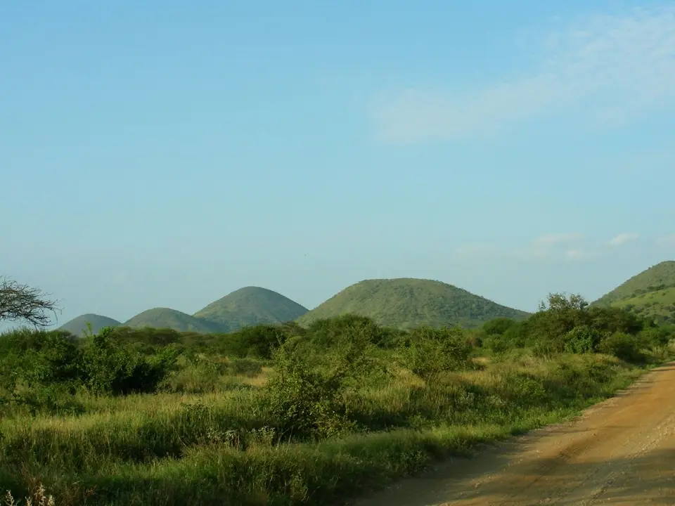 hdff0533.JPG