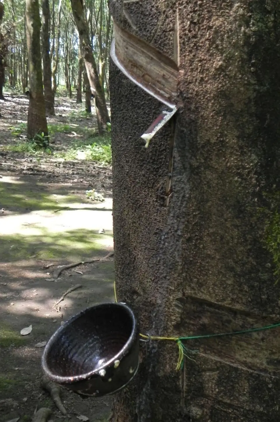 125.JPG