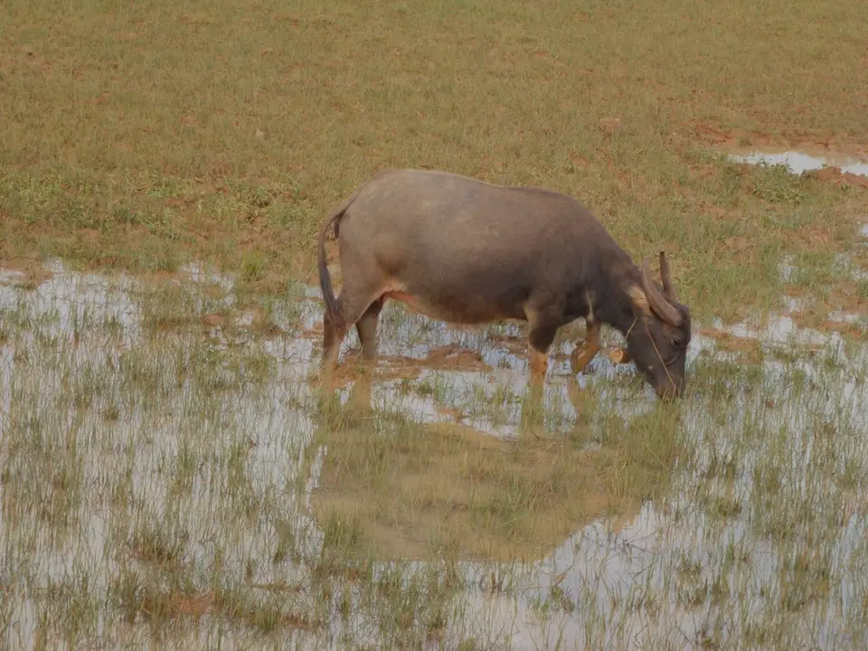 199.JPG