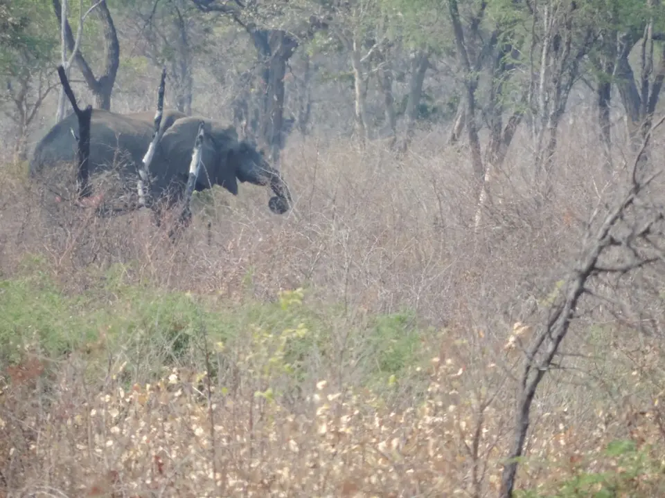 h74a0695.JPG