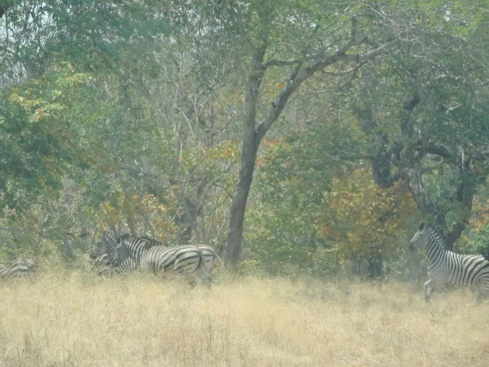 hfcc0522.JPG