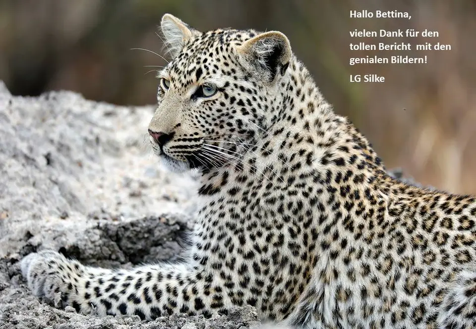 Bettina.jpg