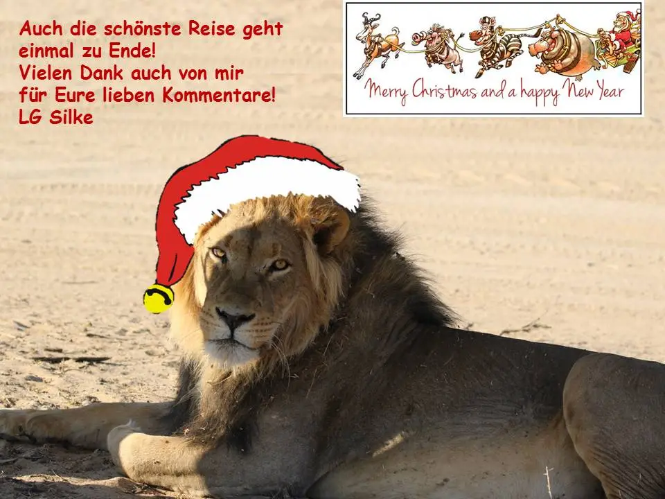 Danke_Silke-2.jpg