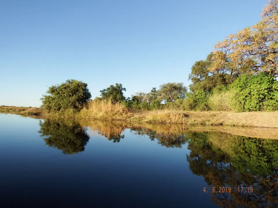 DSCF0037.JPG