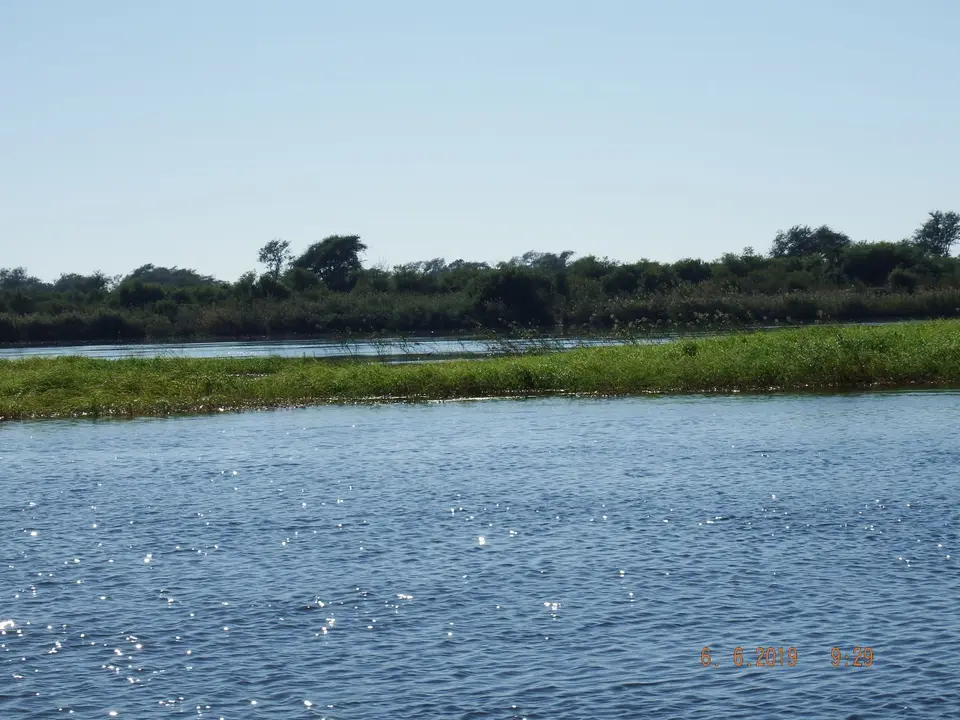 DSCF0194.JPG