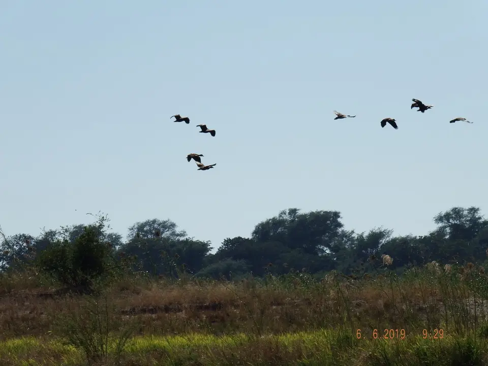 DSCF0195.JPG