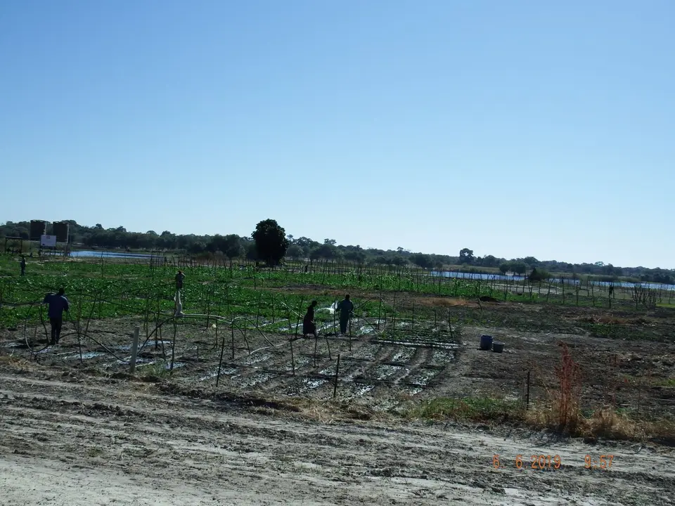 DSCF0224.JPG