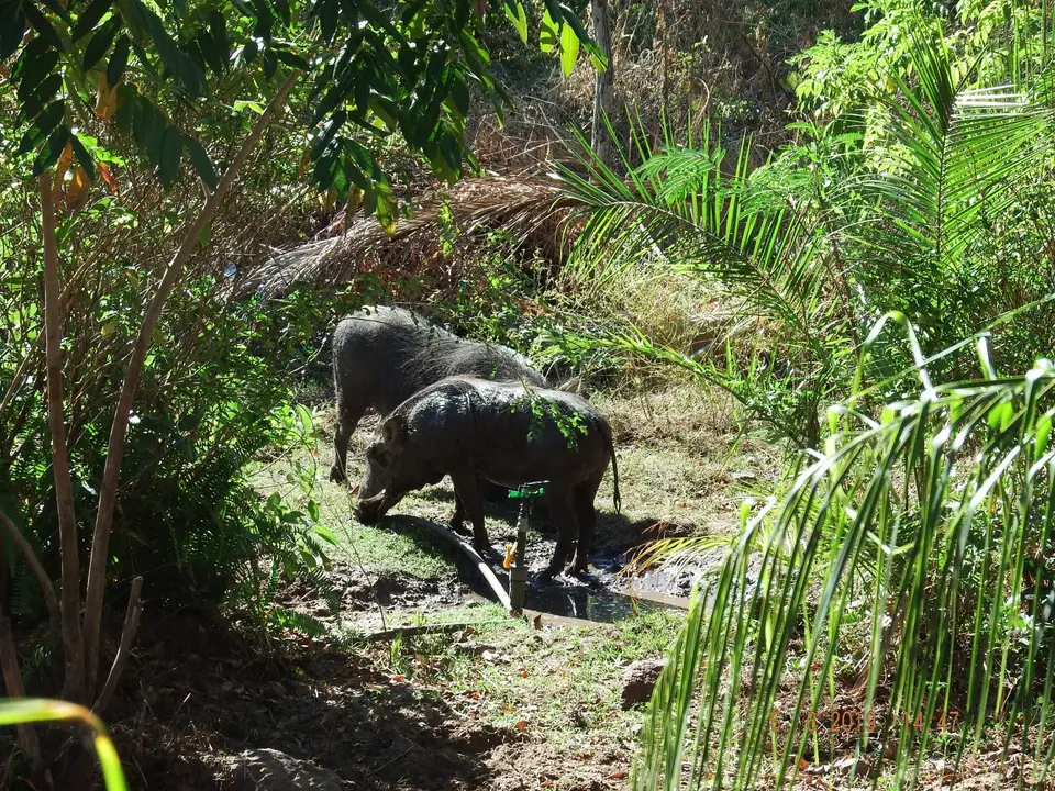 DSCF0245.JPG