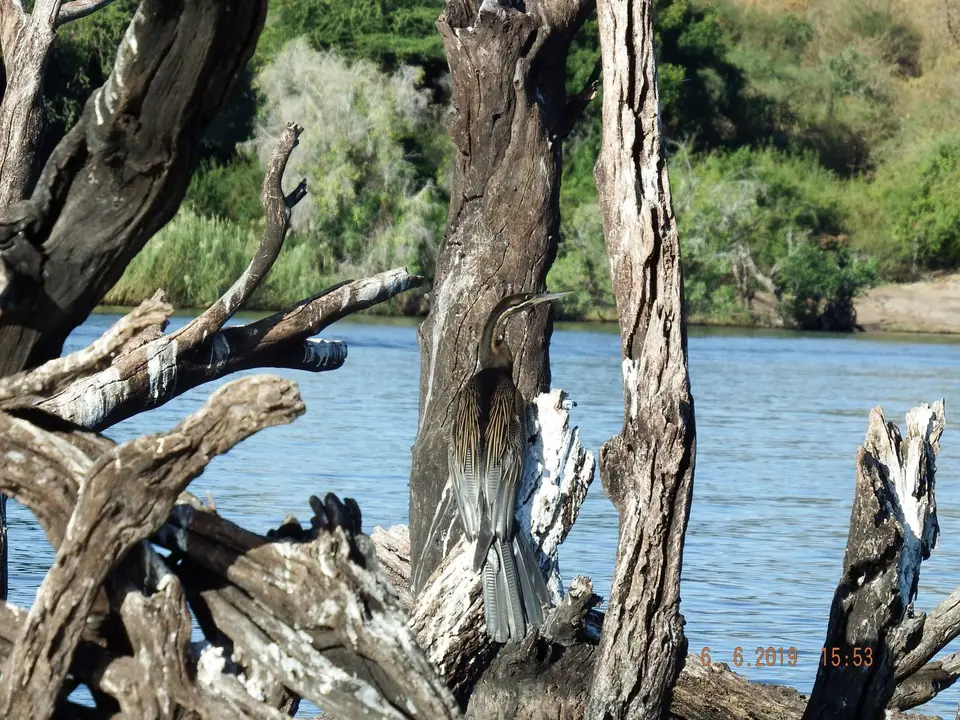 DSCF0294.JPG