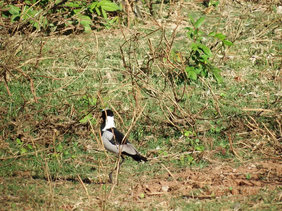 DSCF0307.JPG