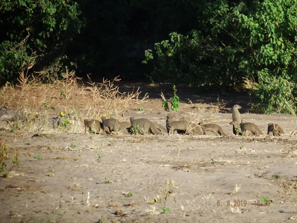 DSCF0384.JPG