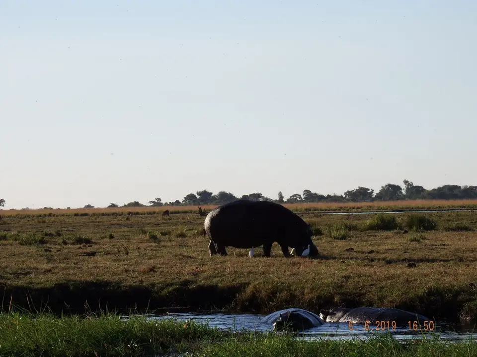 DSCF0418.JPG