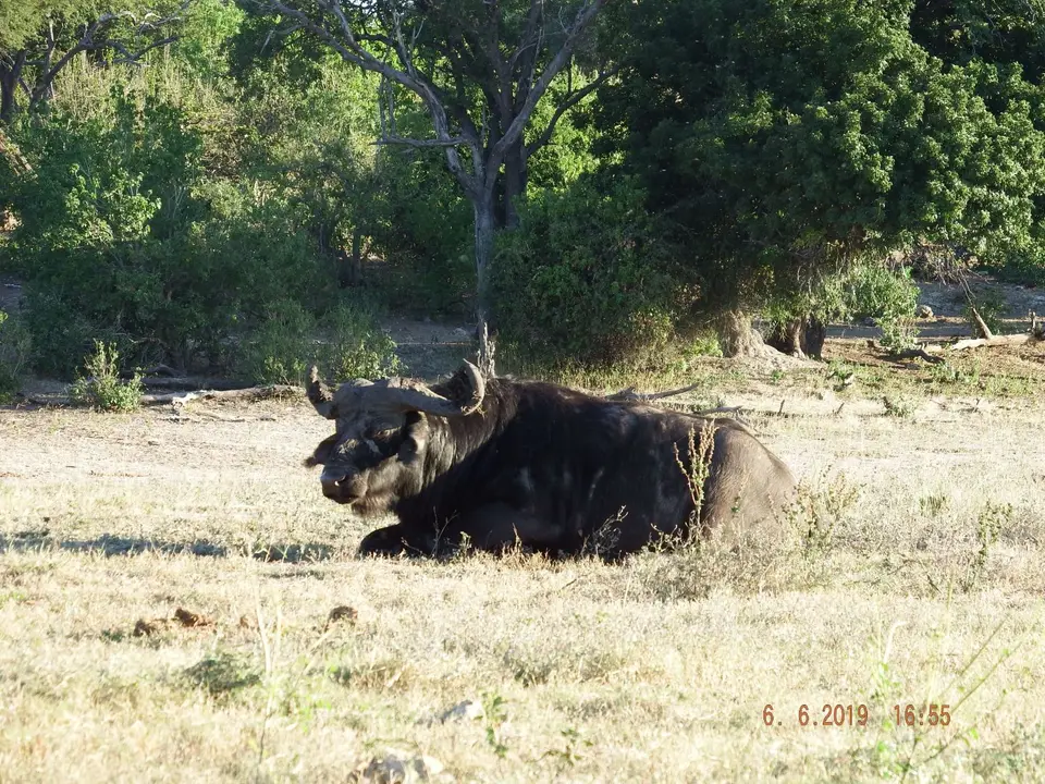 DSCF0428.JPG