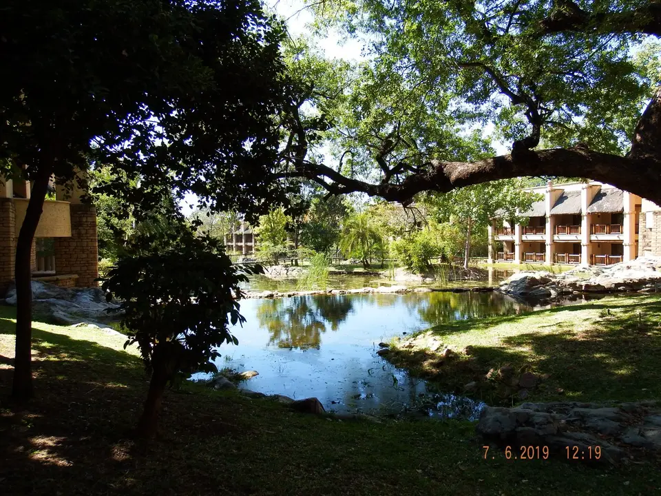 DSCF0560.JPG