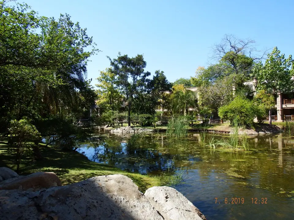 DSCF0562.JPG
