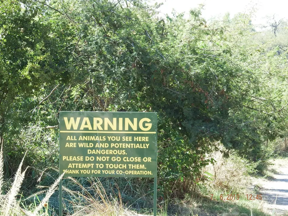 DSCF0568.JPG